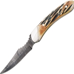 Bear &amp; Son - Caper India Stag BC5009D