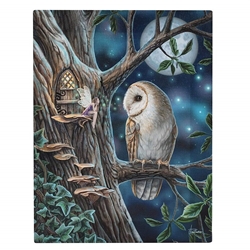 Owl and Fairy Canvas Print - 7.5 X 9.8