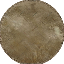 Calfskin Drum Head - Medium - 14 inch
