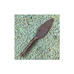 Curved Leafblade Medieval Arrowhead,Medieval Arrowhead AH-3522.14