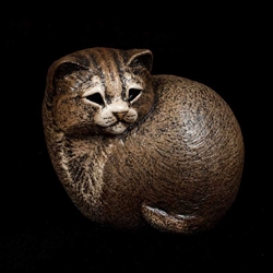 Puffin Kitten Windstone Edition 969